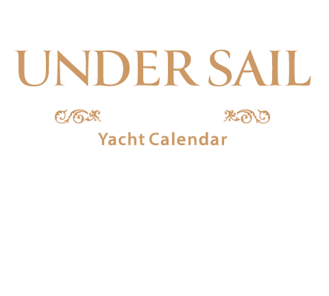 世界各国の海を帆走るヨット写真の大判カレンダー『アンダーセイル2026』。世界屈指のマリンフォトグラファー矢部洋一が撮影した力強く美しいセーリングシーンが、毎月の暦を彩ります。