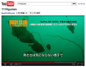 動画サンプル