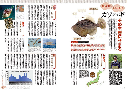 ボート倶楽部特集：画像