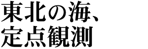 Wk̊CA_ϑ