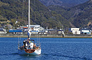 特集2