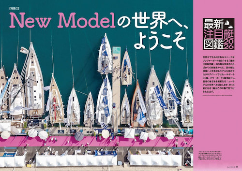 �J�W���W�g�r���F 