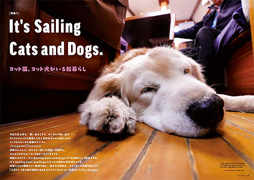 Kazi付録カレンダー