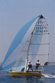 49eritH[eB[iCi[j 